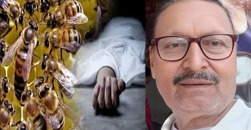 शुक्लागंज के सप्रू मैदान में दर्दनाक हादसा: मैच के दौरान मधुमक्खियों का हमला, KCA के वरिष्ठ अंपायर की मौत